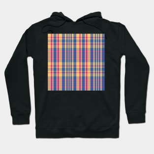 Vaporwave Aesthetic Sorcha 2 Hand Drawn Textured Plaid Pattern Hoodie